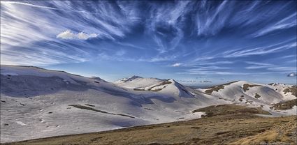 Near Rawsons Pass - Kosciuszko NP - NSW T (PBH4 00 10622)